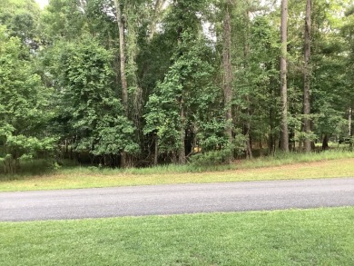 Beautiful Lot! Full of Potential! - photo 1