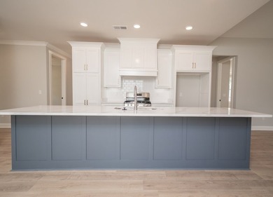 Popular Douglas A plan with 3 main level beds & 2 full baths! - photo 7