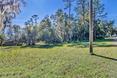 (private lake, pond, creek) Lot Sale Pending in Osteen Florida