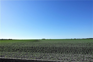 With 2,988.99' +/- of meandering Nueces Bay frontage along the - photo 11