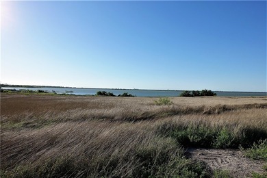 With 2,988.99' +/- of meandering Nueces Bay frontage along the - photo 12