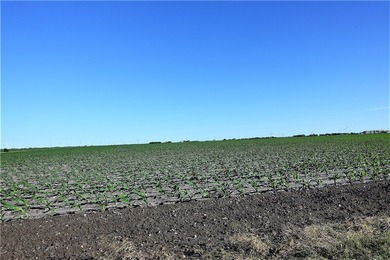 With 2,988.99' +/- of meandering Nueces Bay frontage along the - photo 19