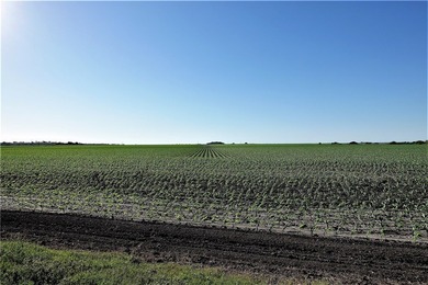 With 2,988.99' +/- of meandering Nueces Bay frontage along the - photo 20