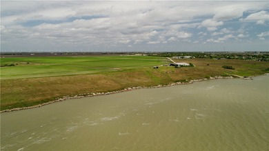 With 2,988.99' +/- of meandering Nueces Bay frontage along the - photo 22