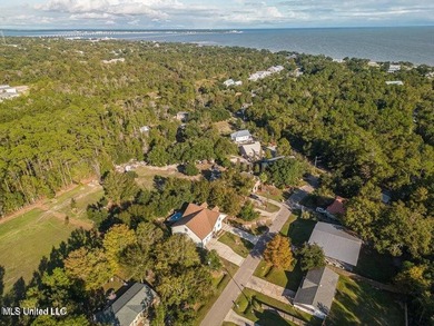 Nestled in a highly desirable golf cart community, this spacious - photo 32