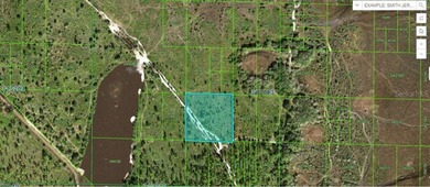 Reedy Lake Acreage For Sale in Frostproof Florida