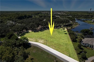 (private lake, pond, creek) Lot For Sale in Naples Florida