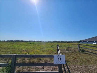 Lake Acreage Sale Pending in Fort Meade, Florida