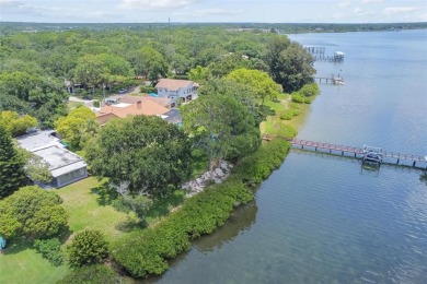 Gulf of Mexico - Old Tampa Bay Home For Sale in Oldsmar Florida
