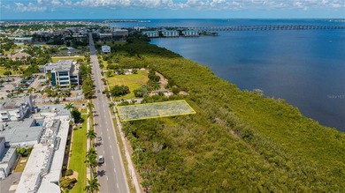 Absolutely AMAZING almost 1/2 ACRE COMMERCIAL or RESIDENTIAL - photo 11