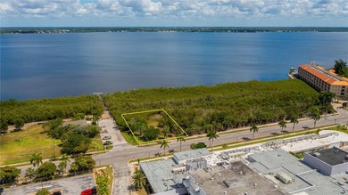 Absolutely AMAZING almost 1/2 ACRE COMMERCIAL or RESIDENTIAL - photo 12