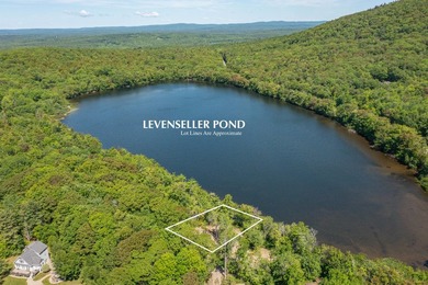 Build-ready waterfront lot on beautiful Levenseller Pond! This - photo 1