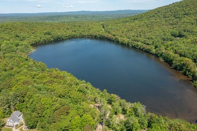 Build-ready waterfront lot on beautiful Levenseller Pond! This - photo 2