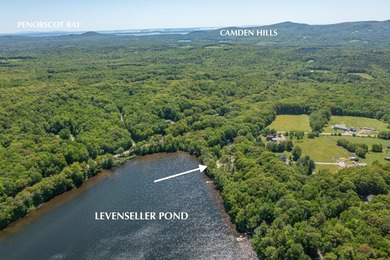Build-ready waterfront lot on beautiful Levenseller Pond! This - photo 9
