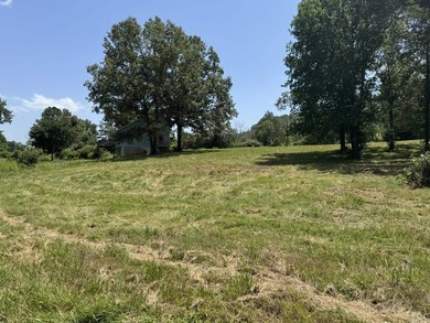 Discover your dream home in the White River Valley! This Fully - photo 16