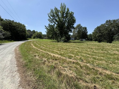 Discover your dream home in the White River Valley! This Fully - photo 18