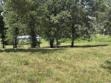 Discover your dream home in the White River Valley! This Fully - photo 19