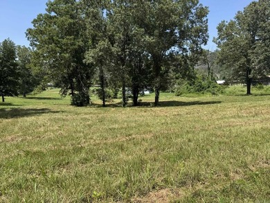Discover your dream home in the White River Valley! This Fully - photo 20