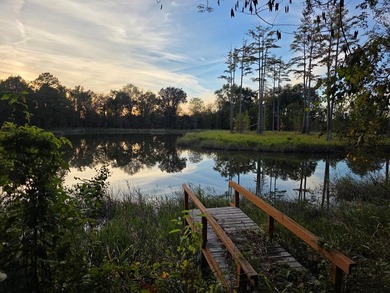 (private lake, pond, creek) Home Sale Pending in Newton Georgia