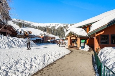 Build your mountain dream home on this premier ski-in/ski-out - photo 25