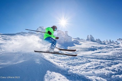 Build your mountain dream home on this premier ski-in/ski-out - photo 29