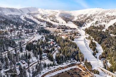 Build your mountain dream home on this premier ski-in/ski-out - photo 30