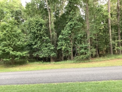 Beautiful Lot! Full of Potential! - photo 3