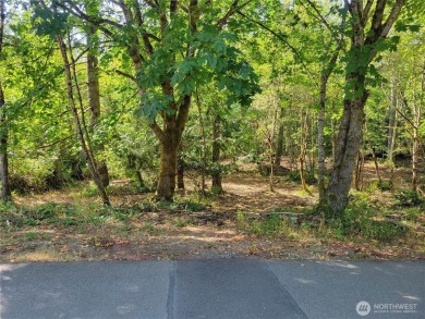 Puget Sound - Case Inlet Lot For Sale in Grapeview Washington