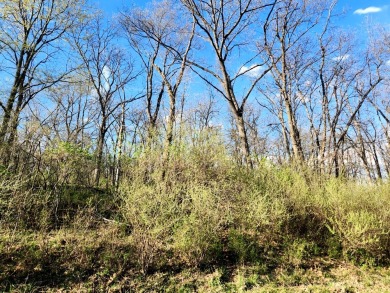 Lake Wildwood - Marshall County Lot For Sale in Varna Illinois