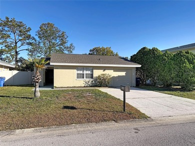 (private lake, pond, coastal) Home For Sale in Tampa Florida