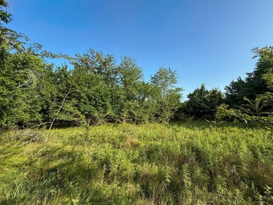 Introducing Tract 7: Featuring Highway 70 frontage, open pasture - photo 22