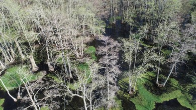 Lying in the heart of the Mississippi Delta, these Minter City - photo 1