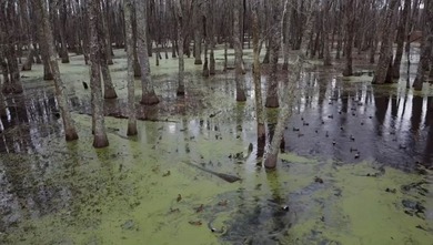 Lying in the heart of the Mississippi Delta, these Minter City - photo 4