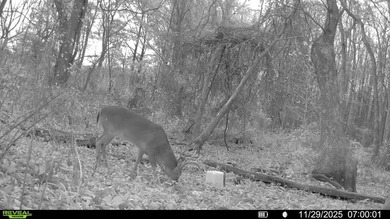 Lying in the heart of the Mississippi Delta, these Minter City - photo 6