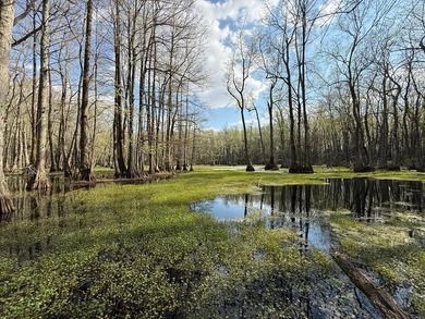Lying in the heart of the Mississippi Delta, these Minter City - photo 8