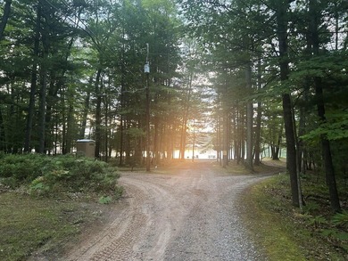 Two wooded, water-view lots being sold together in a beautiful N - photo 11