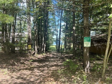 Two wooded, water-view lots being sold together in a beautiful N - photo 17