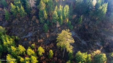 Presenting a rare North Idaho offering nearly 39 acres of - photo 5