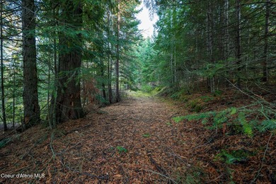Presenting a rare North Idaho offering nearly 39 acres of - photo 8