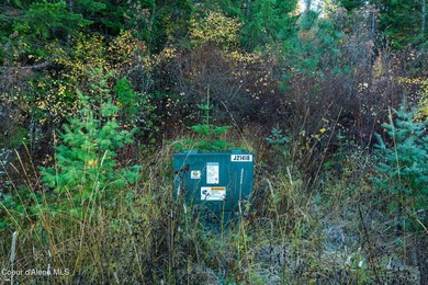 Presenting a rare North Idaho offering nearly 39 acres of - photo 10