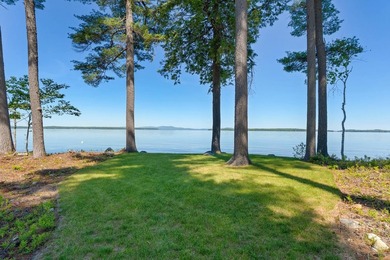 Set on a private peninsula with 600 feet of waterfront, this - photo 2