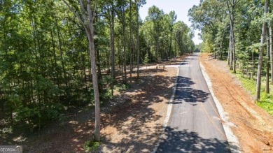 (private lake, pond, creek) Acreage For Sale in Nicholson Georgia