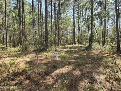 RARE OPPORTUNITY to acquire one, or all, 19 parcels in the heart - photo 3