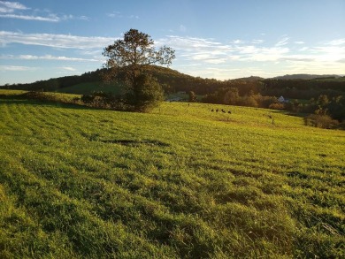 (private lake, pond, coastal) Lot For Sale in Ennice North Carolina