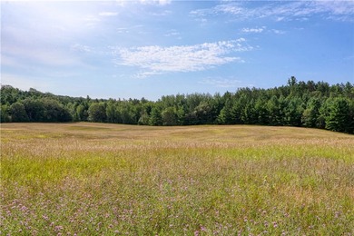 Experience the beauty of the Northwoods countryside from this - photo 42