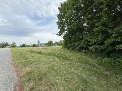 So many possibilities with this amazing 9 acres of land that has - photo 4