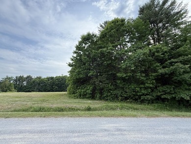 So many possibilities with this amazing 9 acres of land that has - photo 5