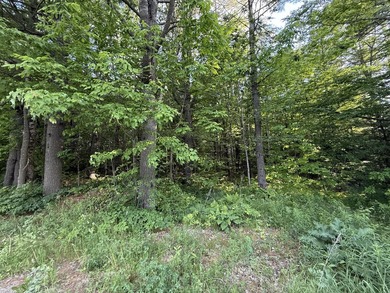 So many possibilities with this amazing 9 acres of land that has - photo 9