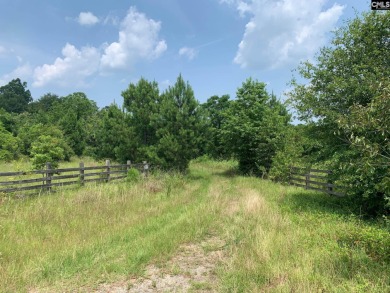 BEAUTIFUL, NEARLY 65 ACRE PROPERTY COMPRISED OF TWO TAX MAP #'S: - Lake Acreage For Sale in Leesville, South Carolina