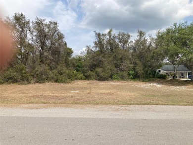 Lake Lot For Sale in Lake Wales, Florida